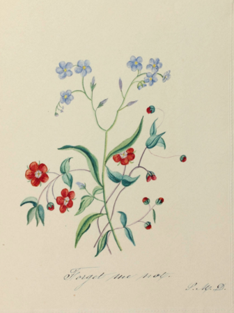 watercolor of a flower on canvas